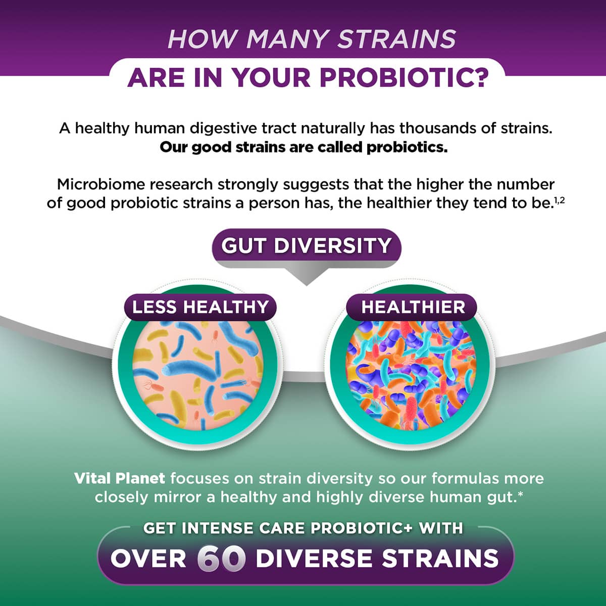 Intense Care Colon + Constipation, 30ct - shelf - Image 5