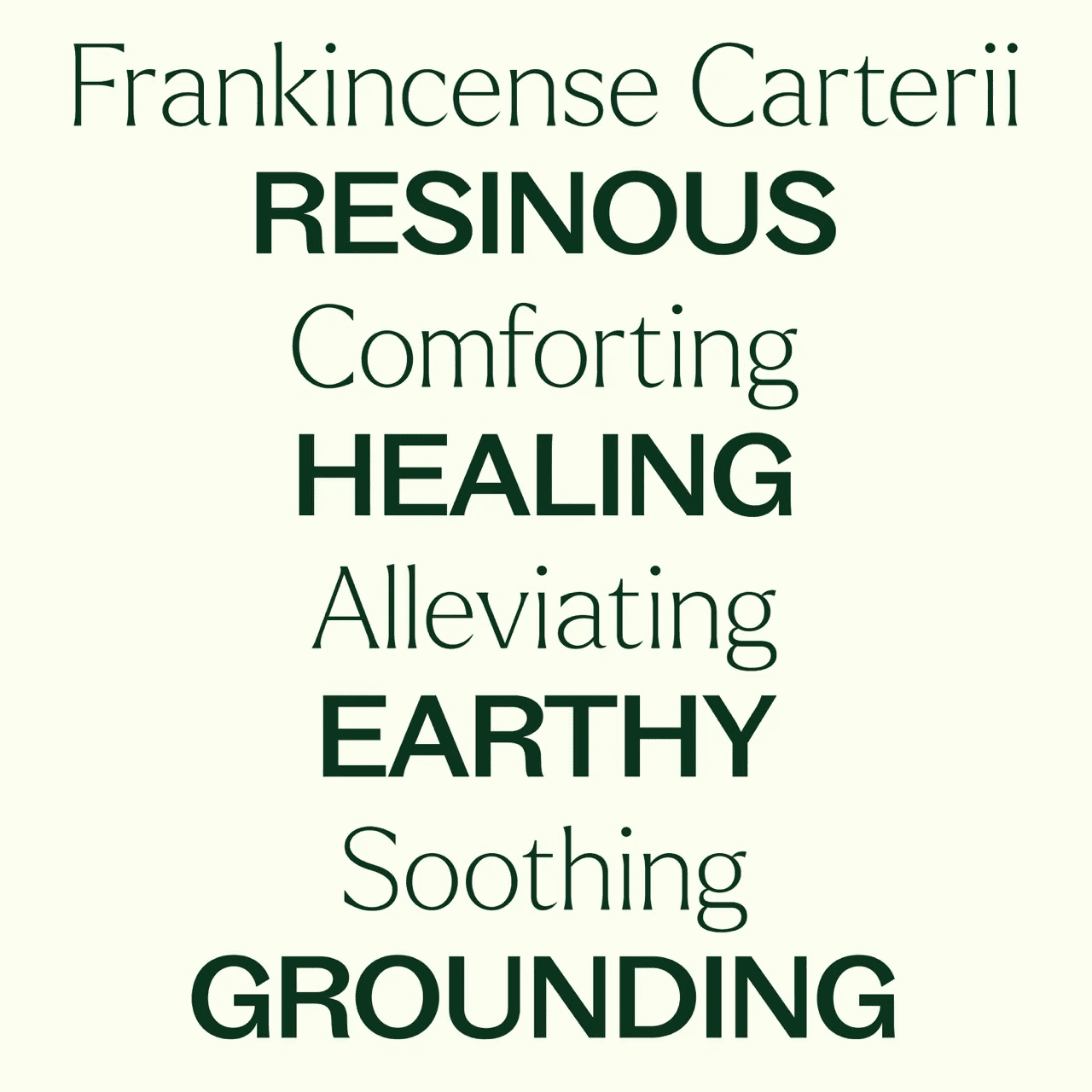 Frankincense Carteri Essential Oil 10 mL - Image 2