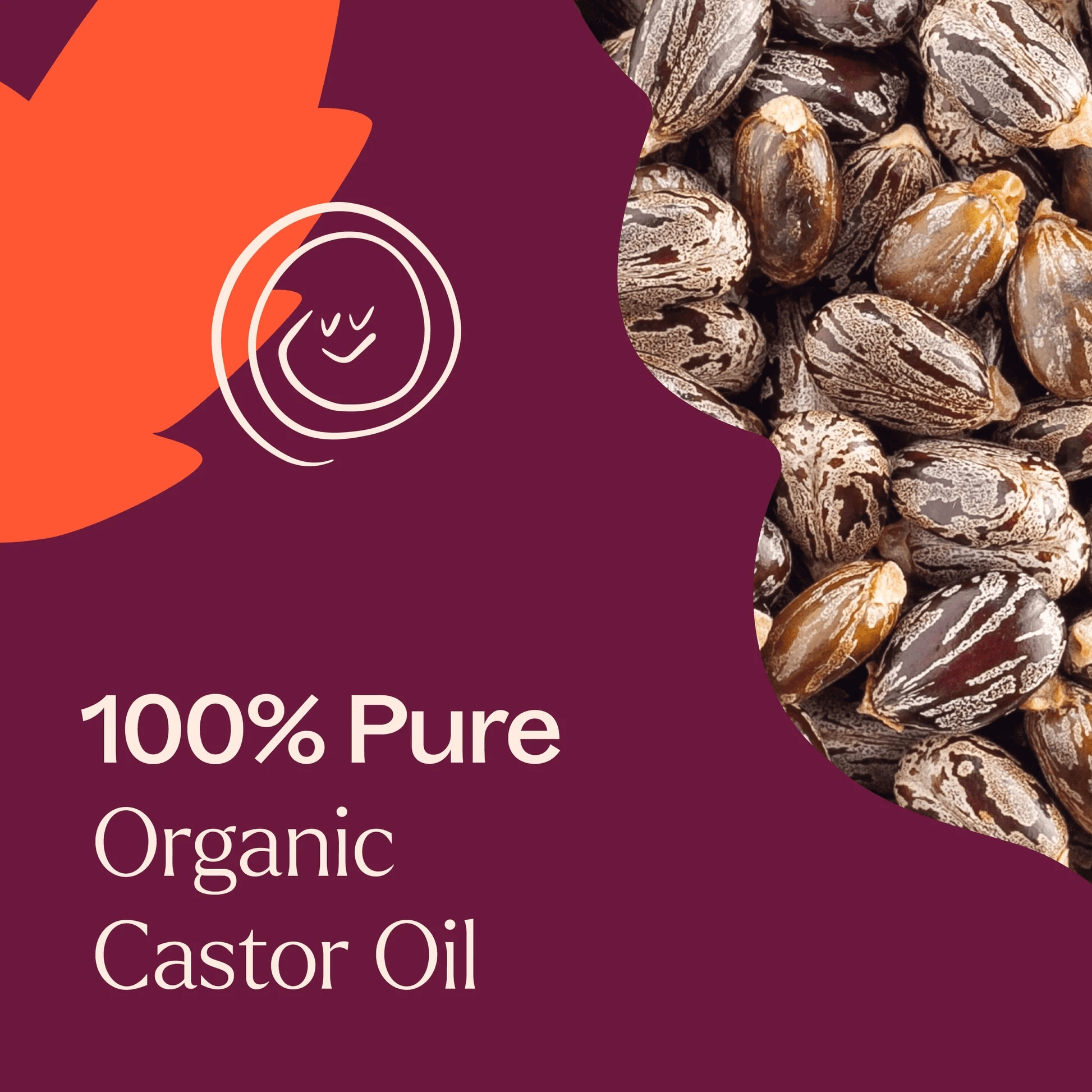 Organic Castor Carrier Oil 32 oz - Image 2
