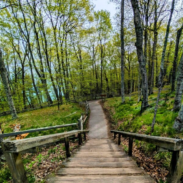 walking path in Michigan forest
