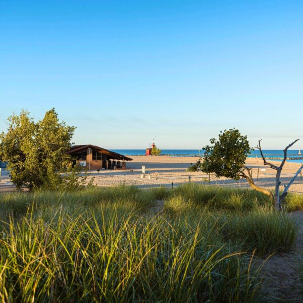 view of beach at Michigan Beach