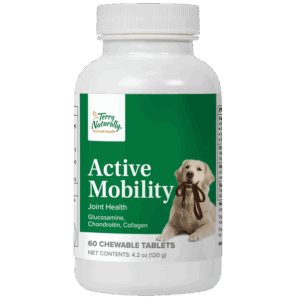 Active Mobility - pet product