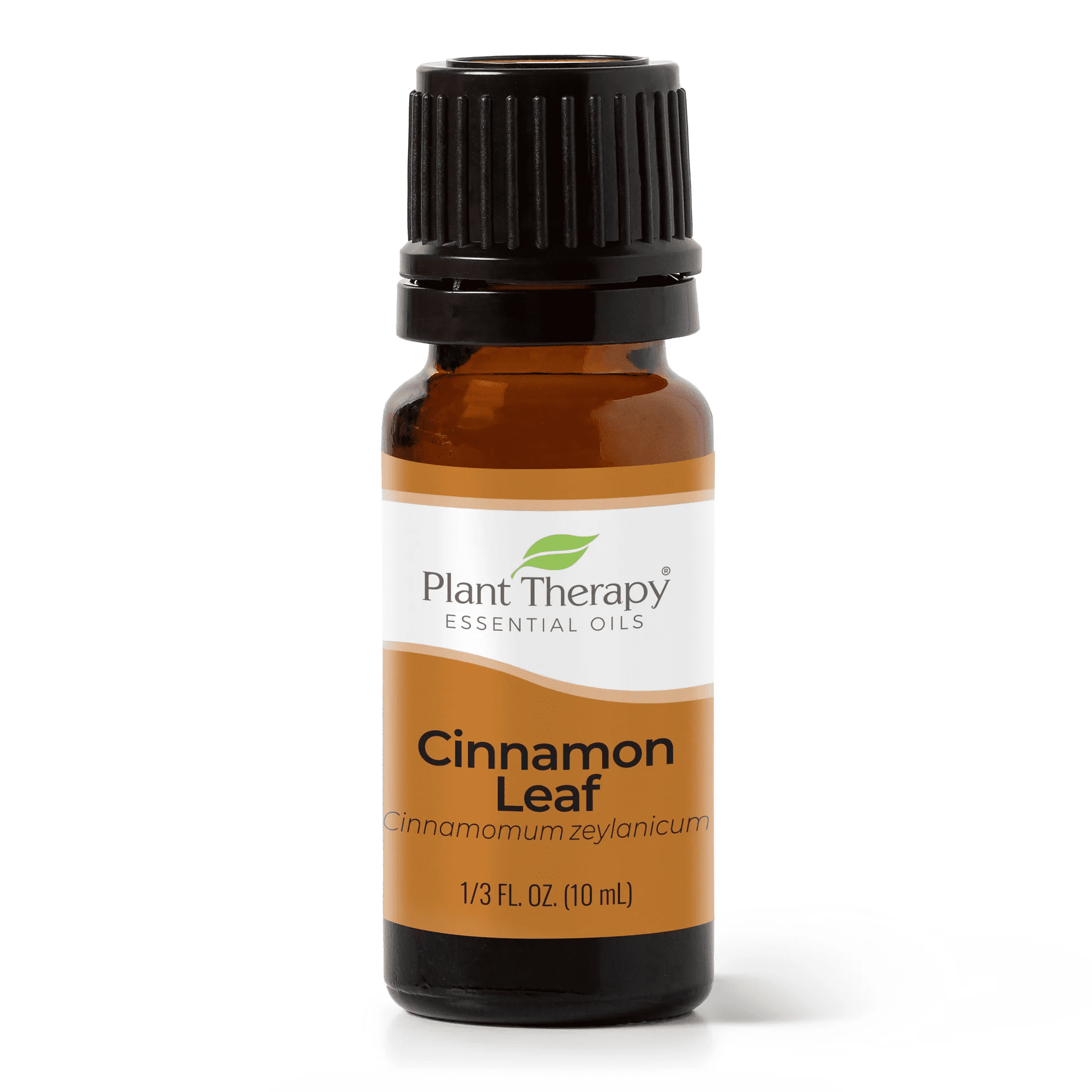 Cinnamon Leaf Essential Oil 10 mL