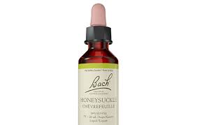 Bach Flower Essence - Honeysuckle