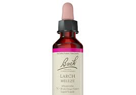 Bach Flower Essence - Larch