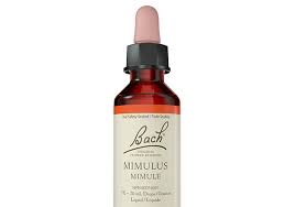 Bach Flower Essence - Mimulus