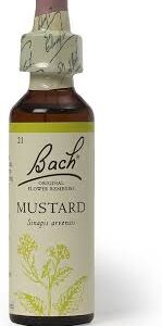 Bach Flower Essence - Mustard