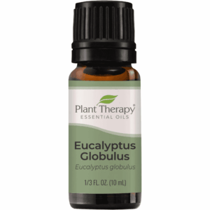Eucalyptus Globulus Essential Oil 10 mL