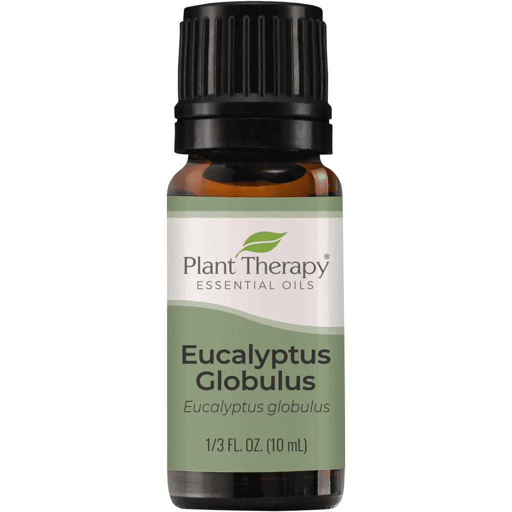 Eucalyptus Globulus Essential Oil 10 mL