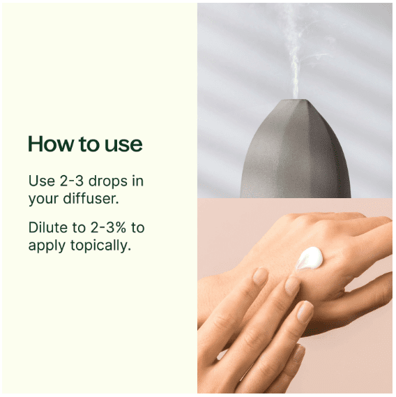 Sleep Tight Synergy Essential Oil 10 mL - Image 5