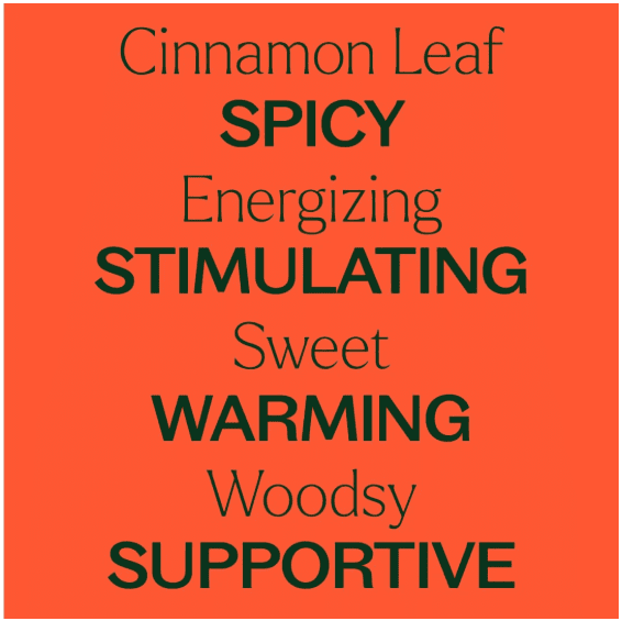 Cinnamon Leaf Essential Oil 10 mL - Image 5