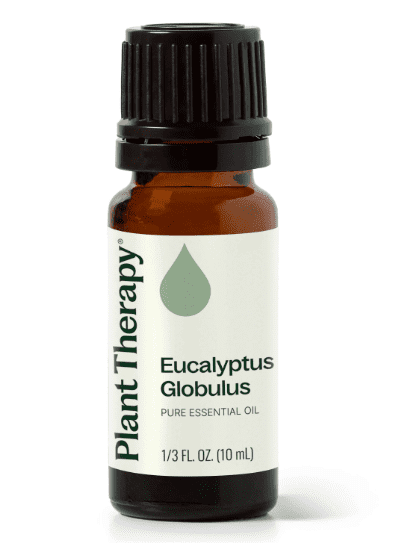 Eucalyptus Globulus Essential Oil 10 mL - Image 2