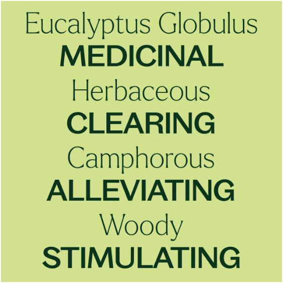 Eucalyptus Globulus Essential Oil 10 mL - Image 4