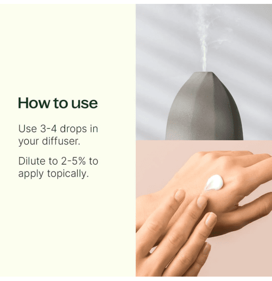 Sweet Marjoram Essential Oil 10 mL - Image 4