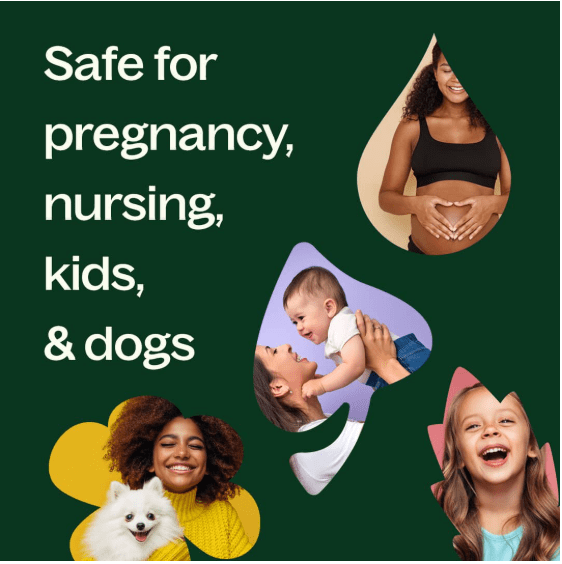 Sweet Marjoram Essential Oil 10 mL - Image 6