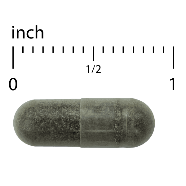 Andrographis EP80 - 60 caps - Extra Strength - Image 2