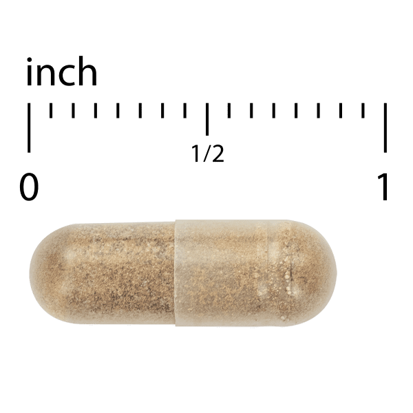 Healthy Liver - Image 2